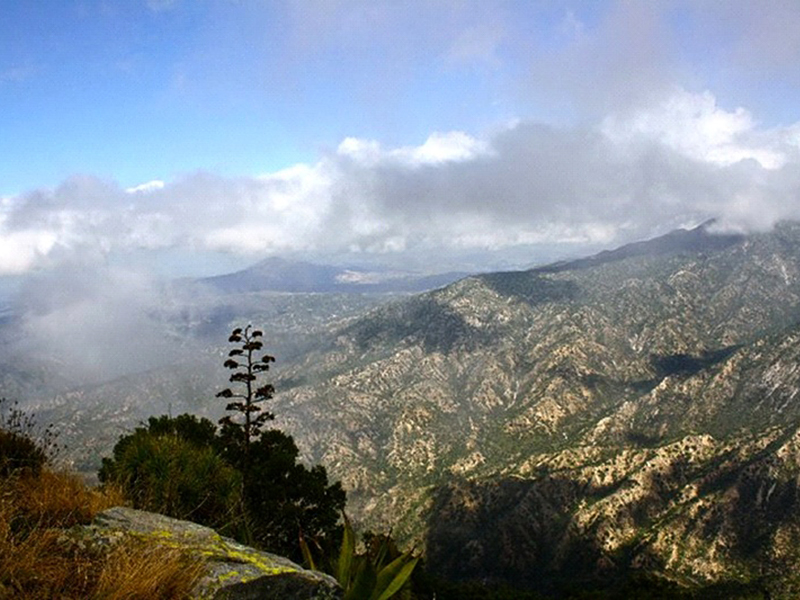 Sierra Vista Mountains